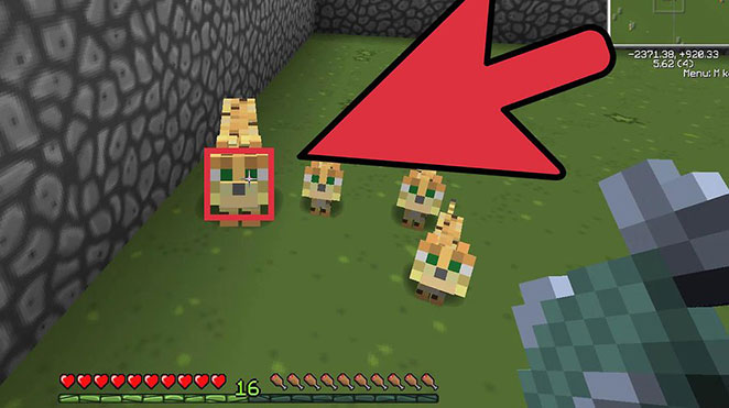 minecraft ocelot 5
